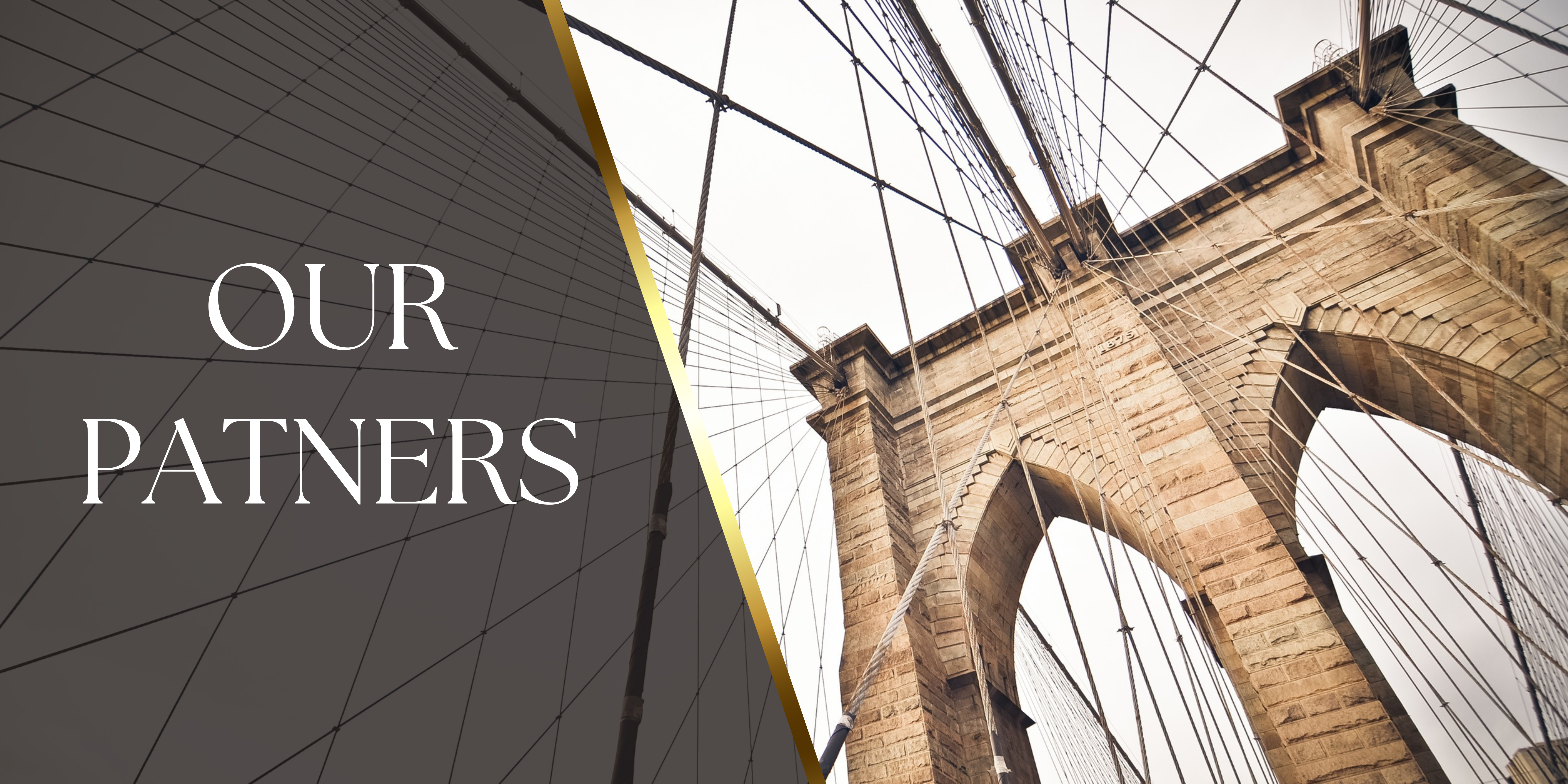 Partnership Website Banner